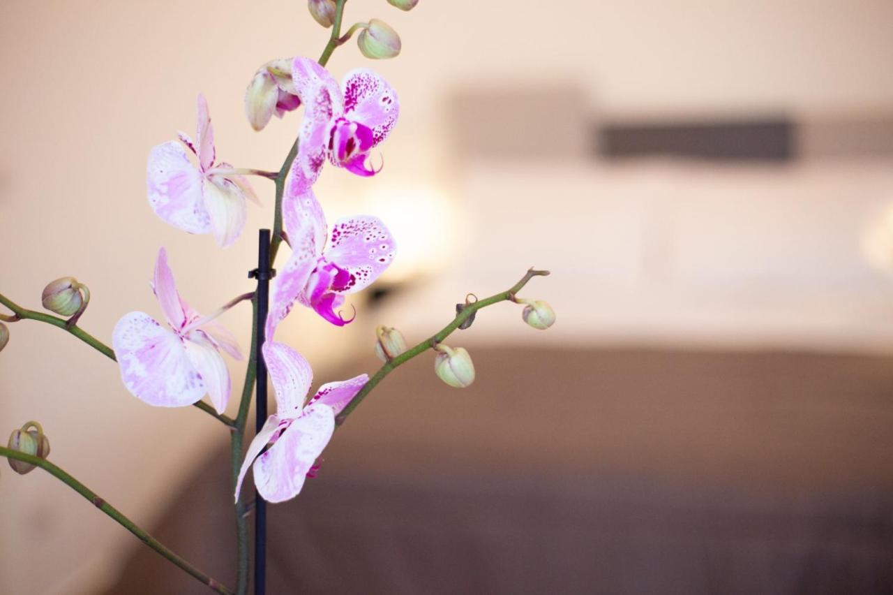 אסראלה Casapaola B&B Rooms מראה חיצוני תמונה